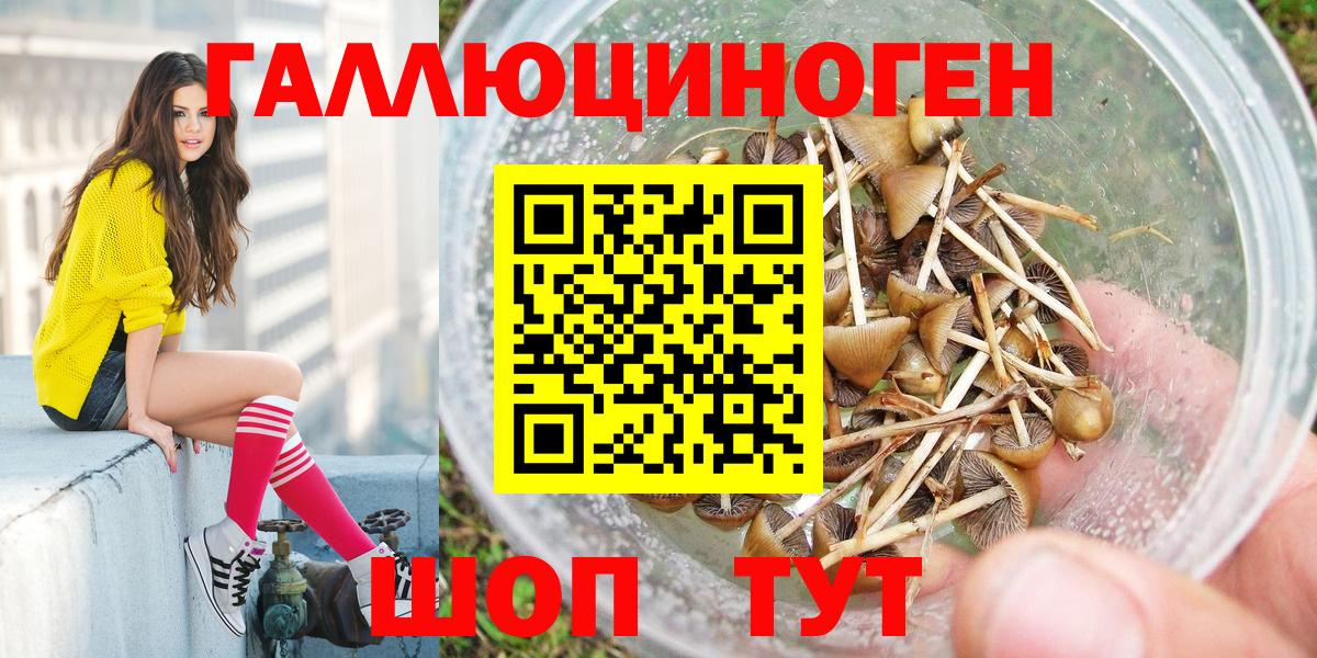 Псилоцибиновые грибы Psilocybine cubensis Кызыл