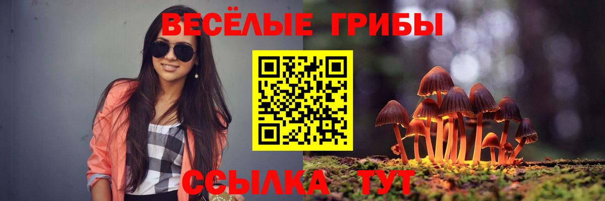 Псилоцибиновые грибы GOLDEN TEACHER  Псилоцибиновые грибы Cubensis  Кызыл  Вход с VPN 